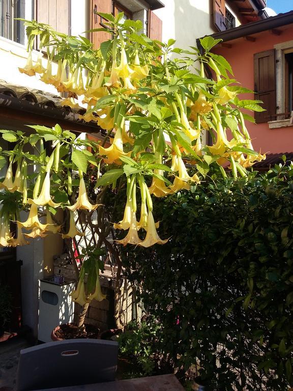 Bed and Breakfast La Carbonara 6 Bardolino Exterior foto